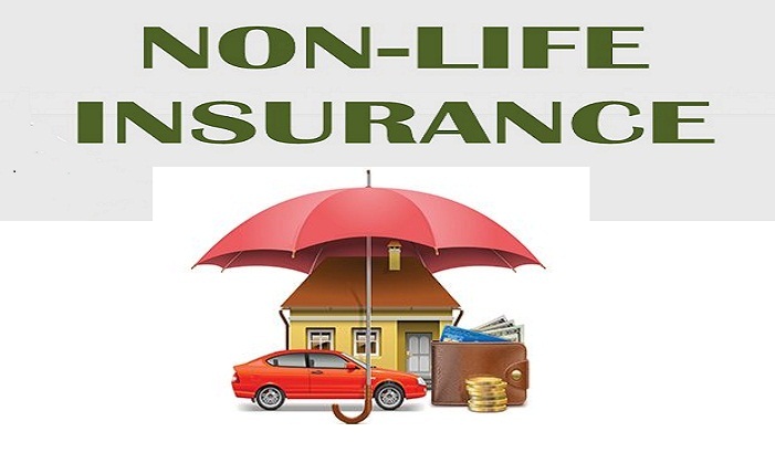 Non-Life Insurance Market